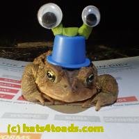 /home//u458753944/public_html/sourcegallery///////Roxborough Toad Detour/2013-2019/2018/2018-04-13/P4130015.JPG